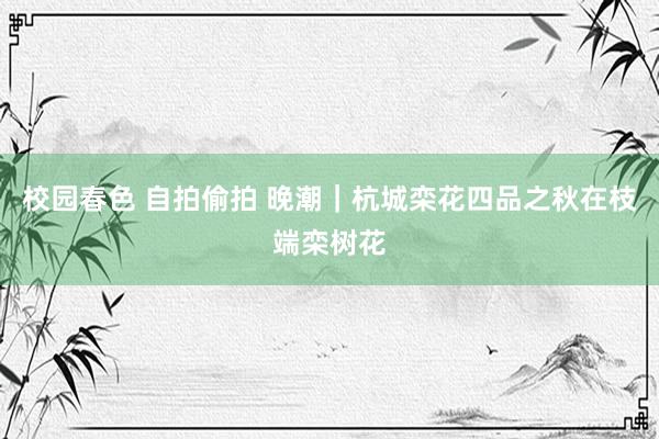 校园春色 自拍偷拍 晚潮｜杭城栾花四品之秋在枝端栾树花
