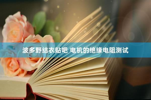 波多野结衣贴吧 电机的绝缘电阻测试